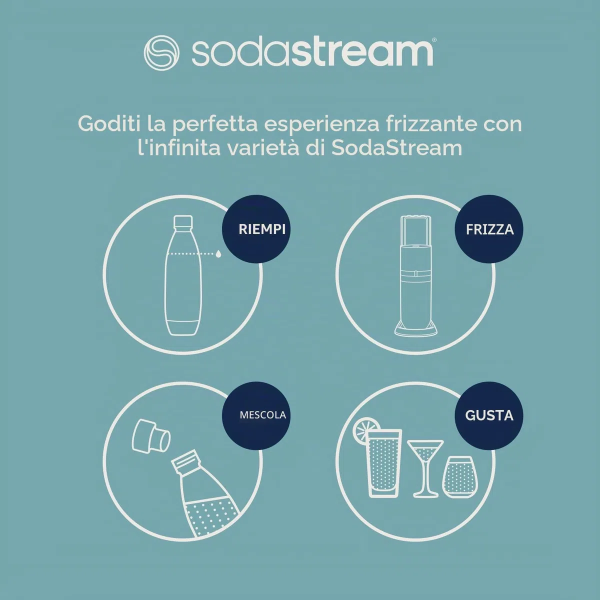 SodaStream Set di 2 bombole di vetro da 1 l, 2 bottiglie di vetro da 1 l, 2 bottiglie di plastica da 1 l, lavabili in lavastoviglie e portabottiglie sintico, altezza: 44 cm, colore: titanio
