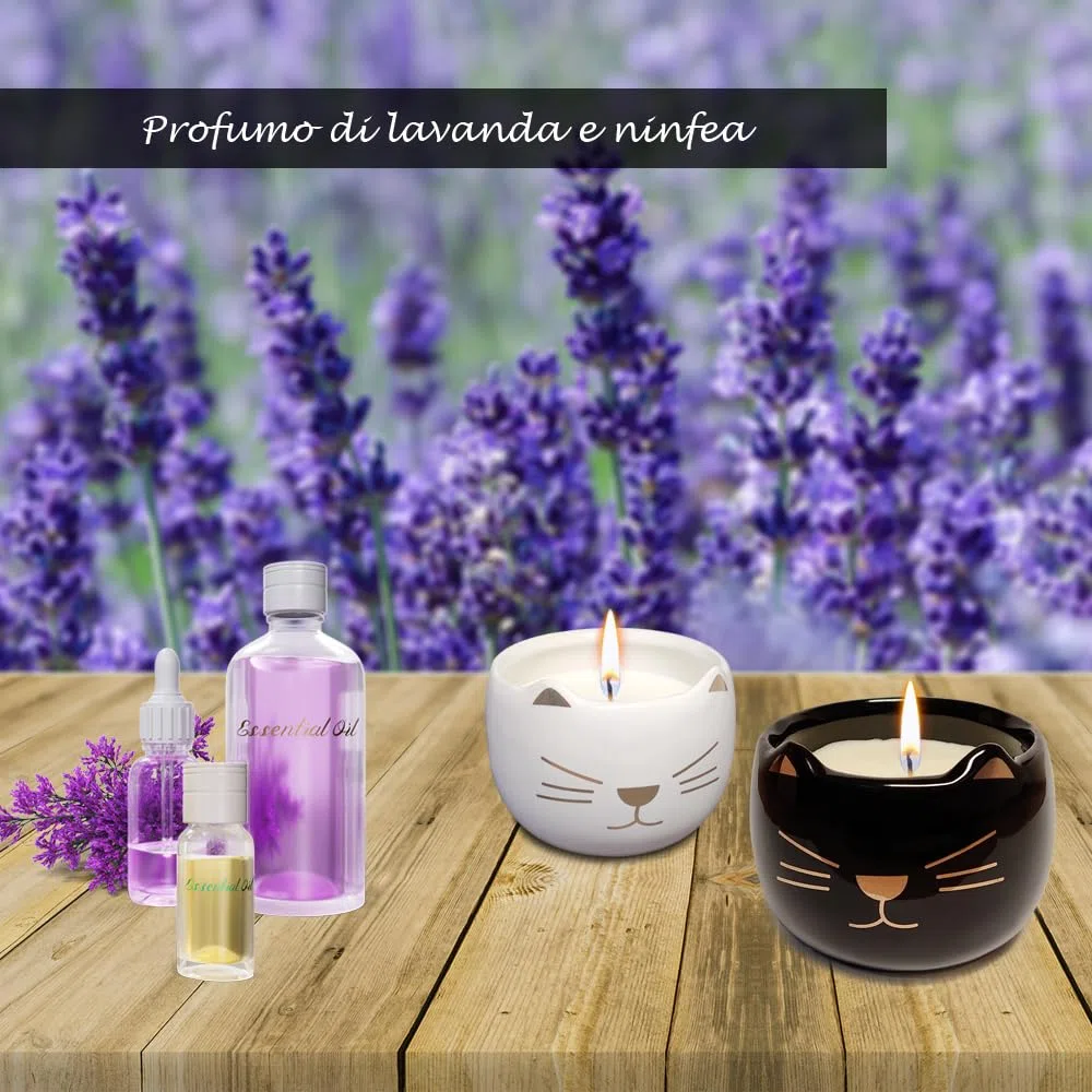 Candele Decorative a Forma di Gatto, Set di 2 Candele Profumate in Confezione Regalo per la Decorazioni Casa
